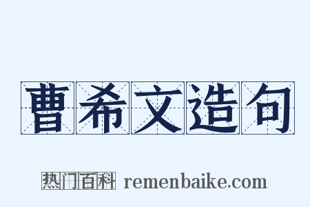 曹希文造句是什么意思的图片